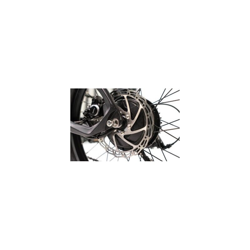 FX PLIANT CARBON