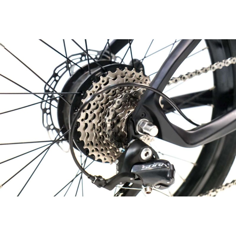 FX PLIANT CARBON