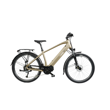 VTC  T-BIRD GOLDEN SPORT