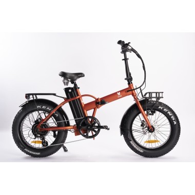 LITTLE FITCH BIKE