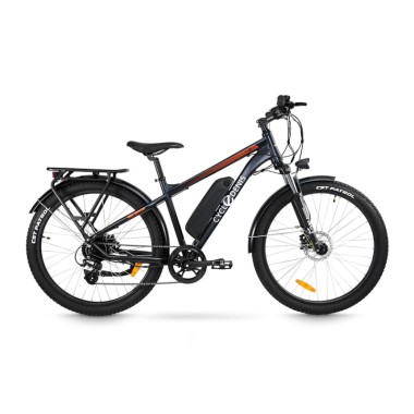 Cycle Denis VTT trekker