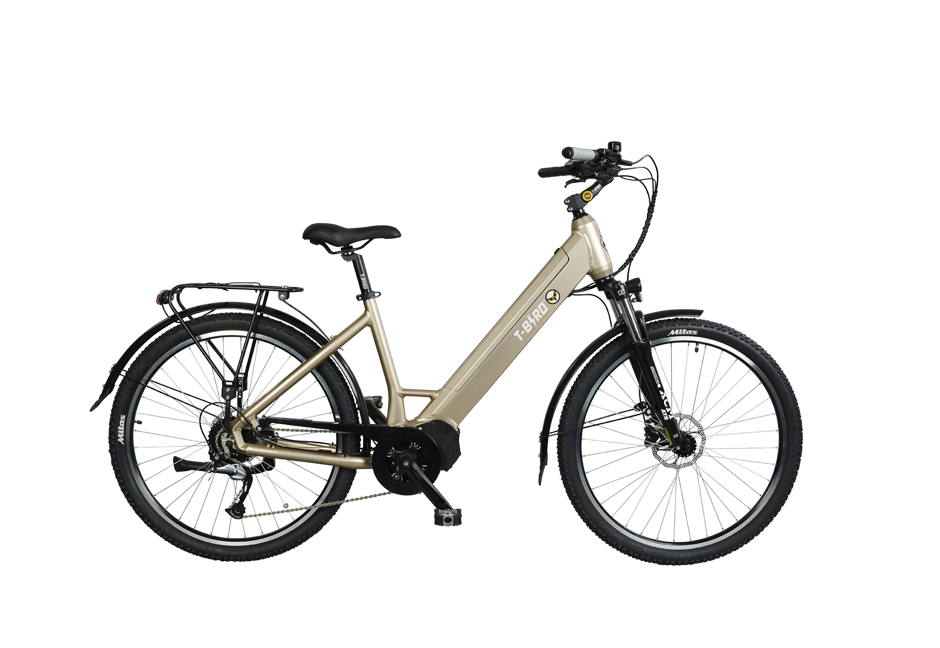 T bird velo electrique shop